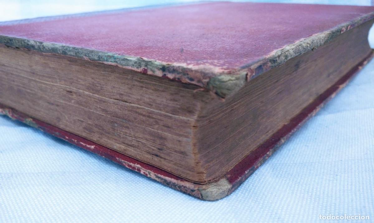 Libros antiguos: Zoolog&iacute;a. Od&oacute;n de Buen. 1890. - Foto 20