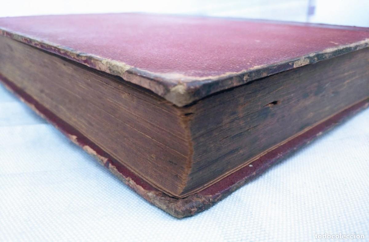 Libros antiguos: Zoolog&iacute;a. Od&oacute;n de Buen. 1890. - Foto 21