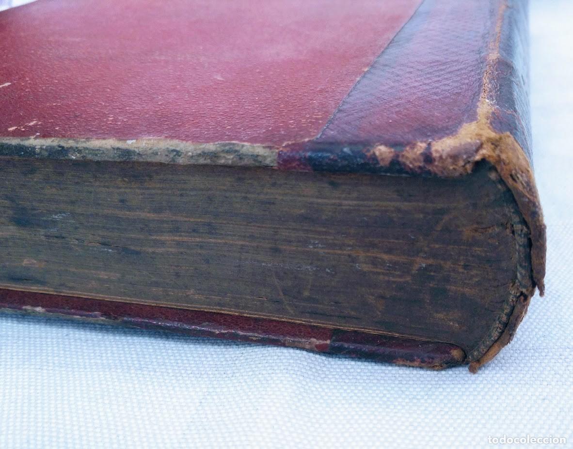 Libros antiguos: Zoolog&iacute;a. Od&oacute;n de Buen. 1890. - Foto 22