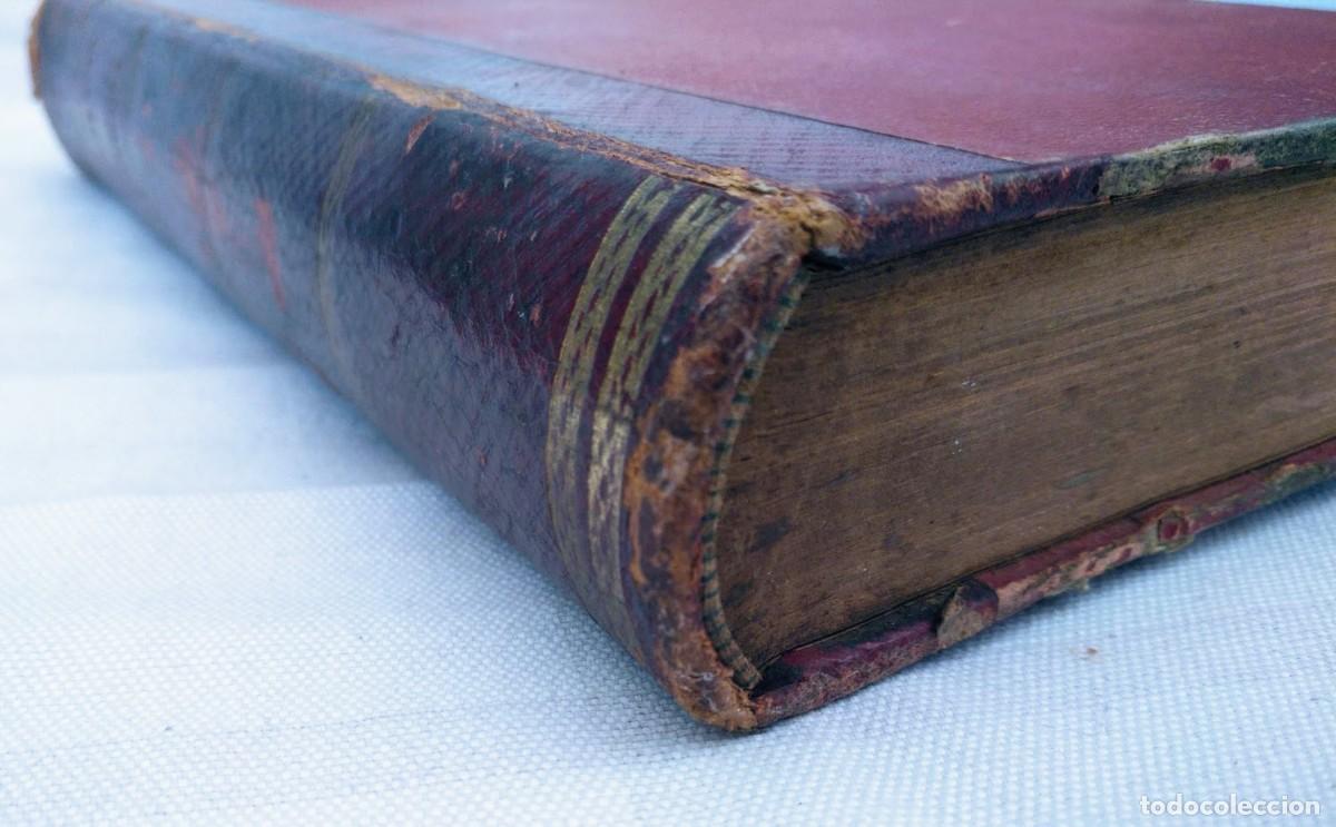 Libros antiguos: Zoolog&iacute;a. Od&oacute;n de Buen. 1890. - Foto 23