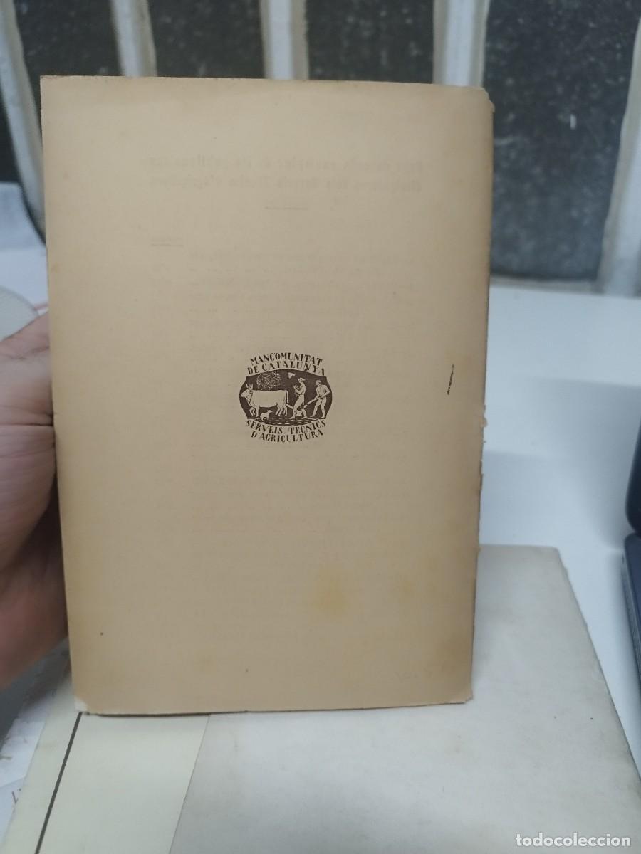 Libros antiguos: AUGUST MATONS . LA SANSA COM ADOB (MANCOMUNITAT DE CATALUNYA, 1923) - Foto 3