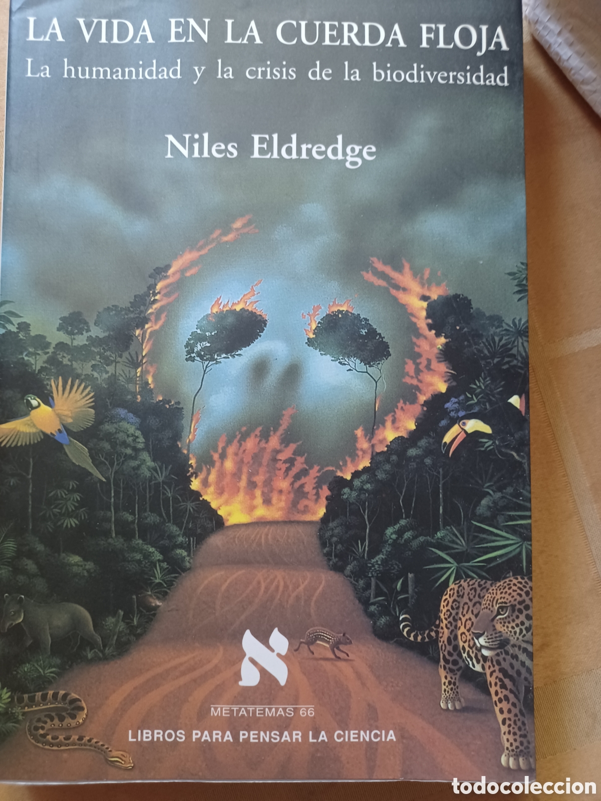 Libros antiguos: Barybook 182. La vida En la cuerda floja Eldredge - Foto 1