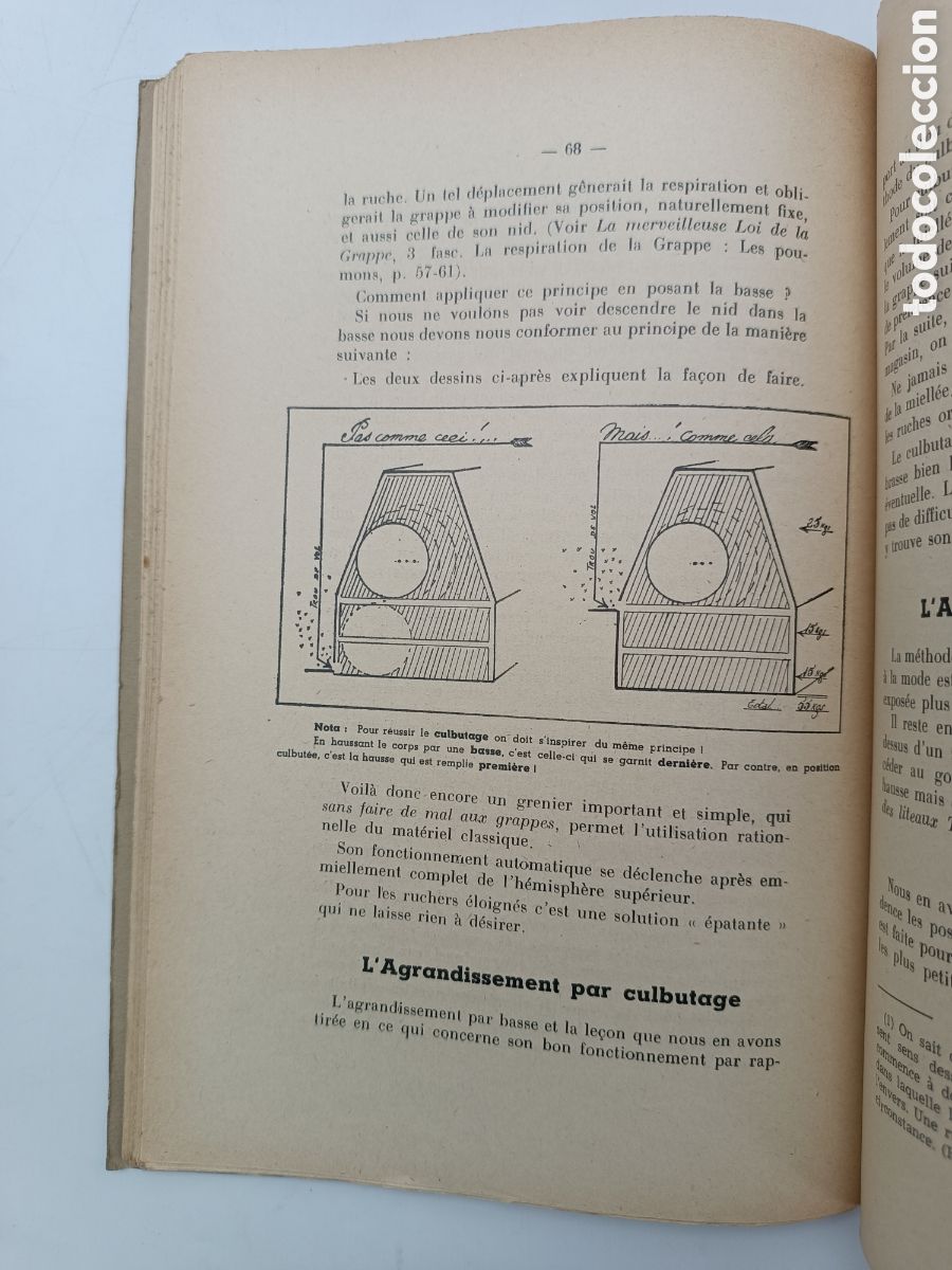 Libros antiguos: Lelevage de grappes et la production su miel 1952 - Foto 3