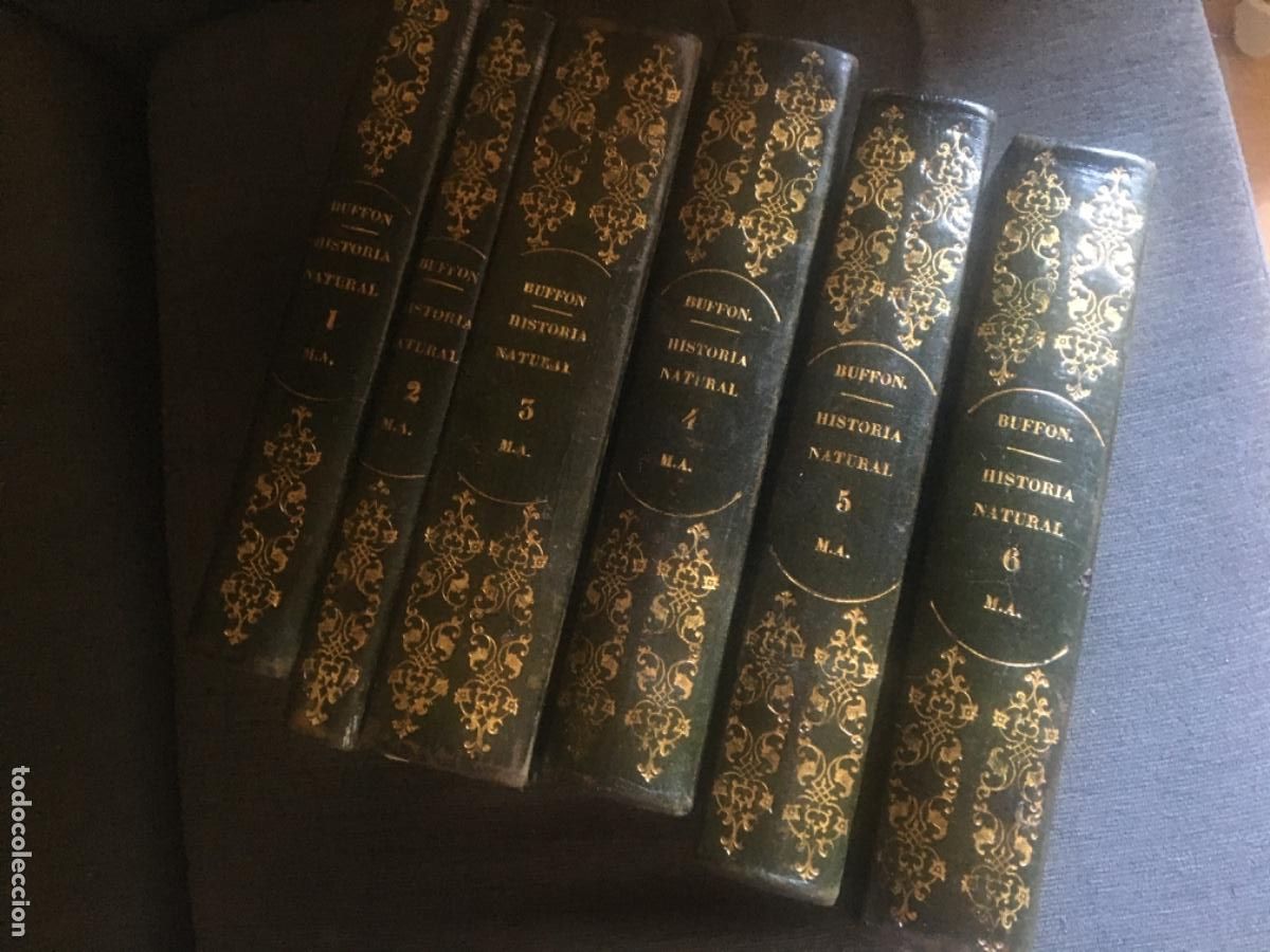 Libros antiguos: Historia natural buffon 1852. 6 tomos - Foto 1