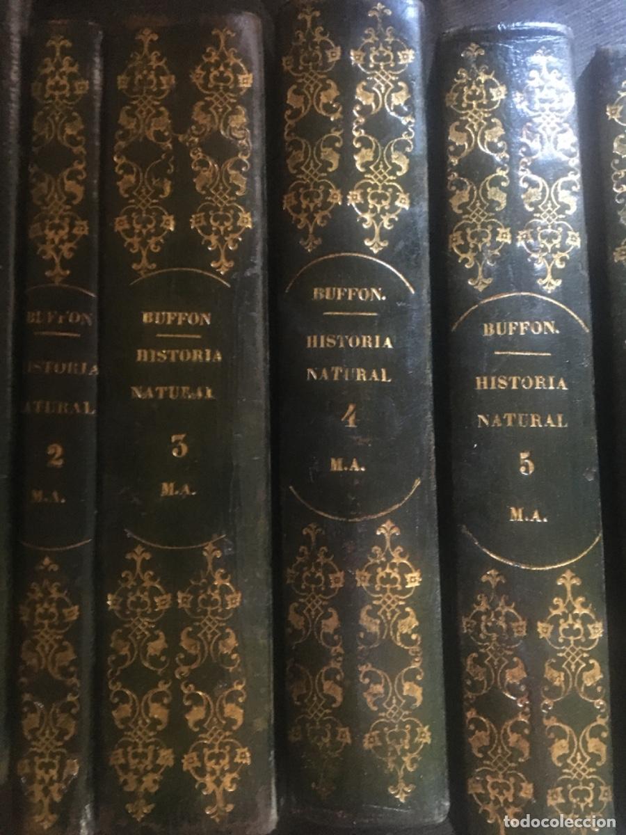 Libros antiguos: Historia natural buffon 1852. 6 tomos - Foto 2