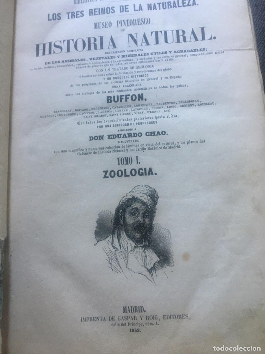 Libros antiguos: Historia natural buffon 1852. 6 tomos - Foto 3