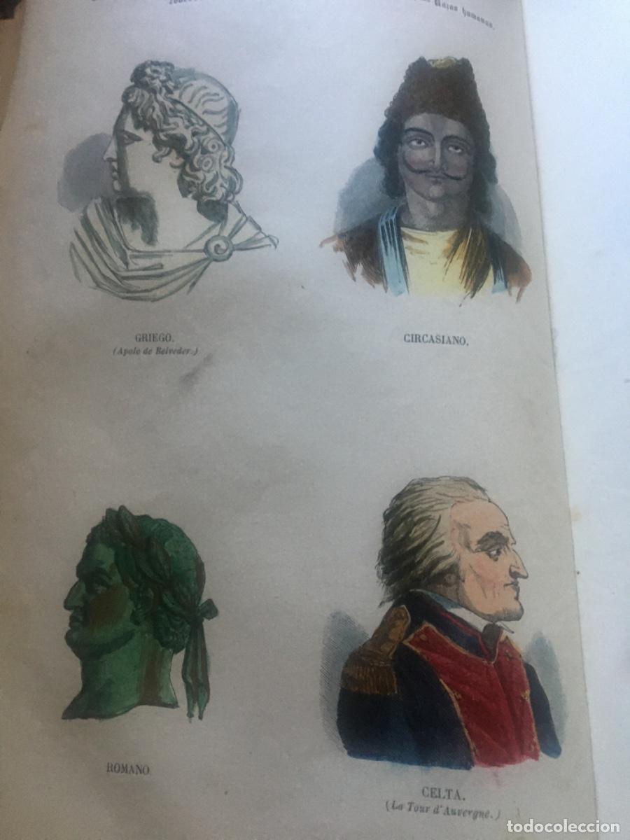 Libros antiguos: Historia natural buffon 1852. 6 tomos - Foto 4