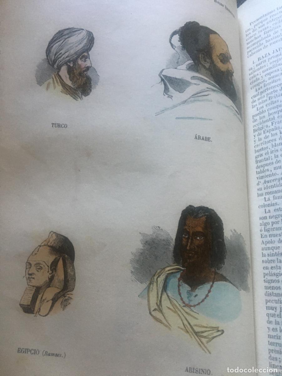 Libros antiguos: Historia natural buffon 1852. 6 tomos - Foto 5