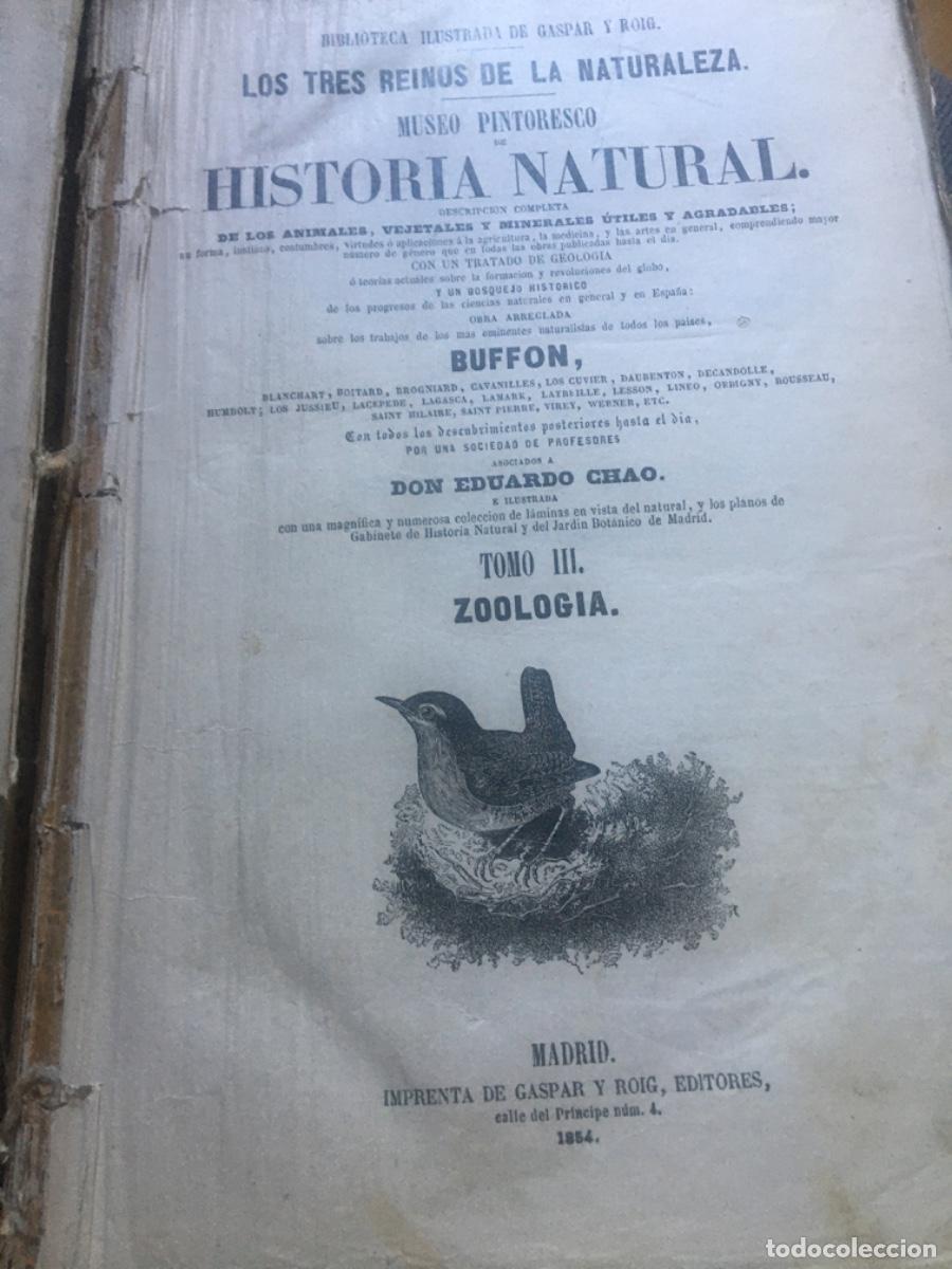 Libros antiguos: Historia natural buffon 1852. 6 tomos - Foto 8