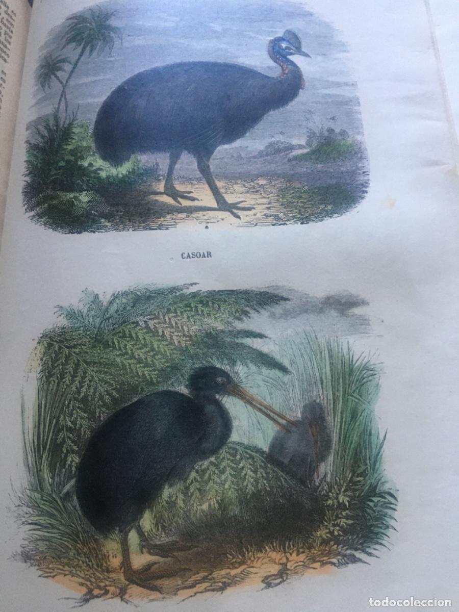 Libros antiguos: Historia natural buffon 1852. 6 tomos - Foto 11