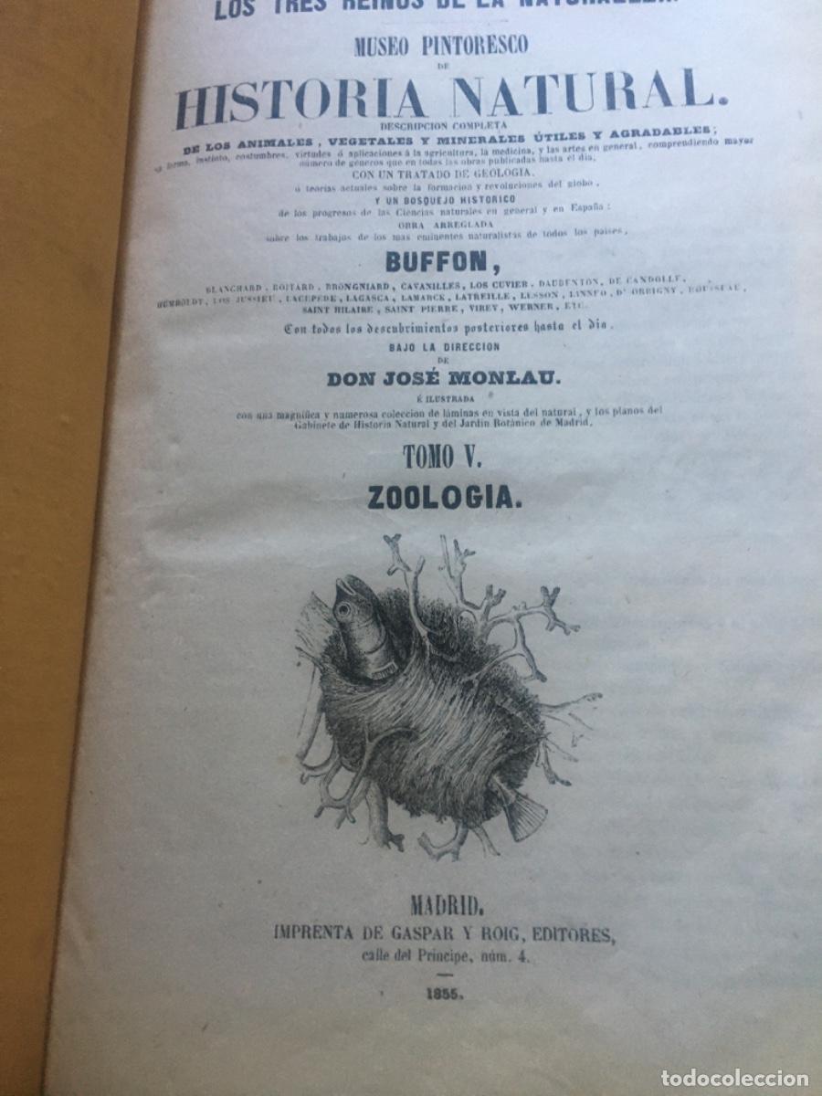 Libros antiguos: Historia natural buffon 1852. 6 tomos - Foto 13