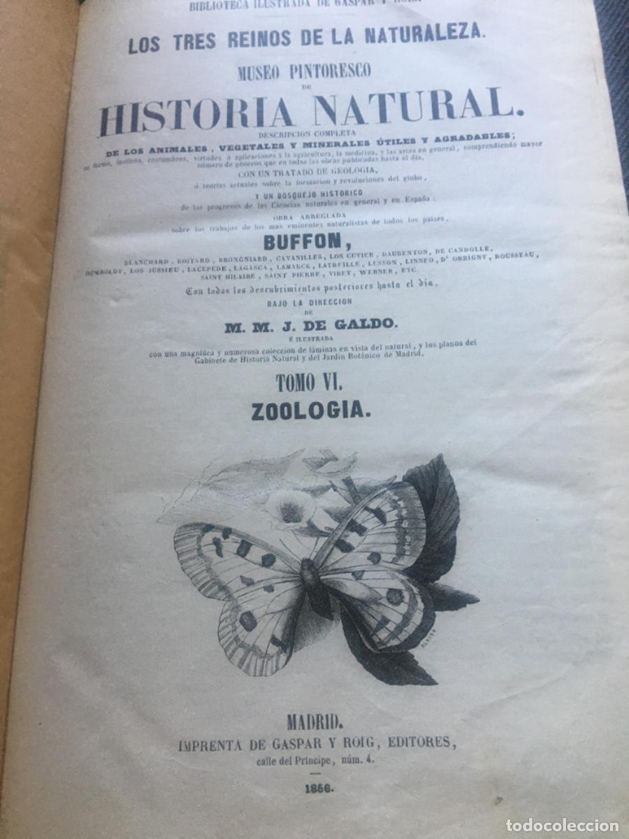 Libros antiguos: Historia natural buffon 1852. 6 tomos - Foto 16