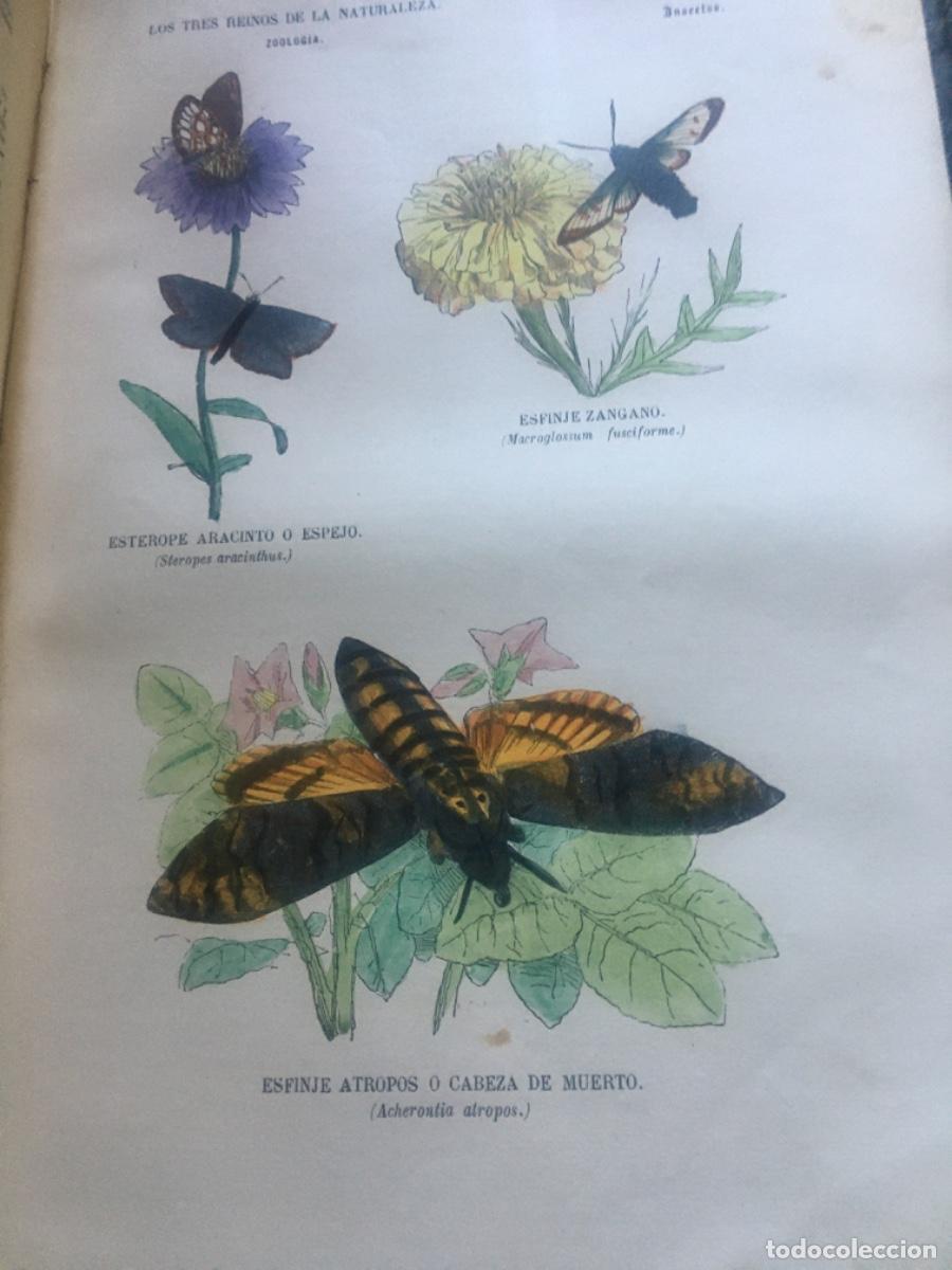 Libros antiguos: Historia natural buffon 1852. 6 tomos - Foto 21
