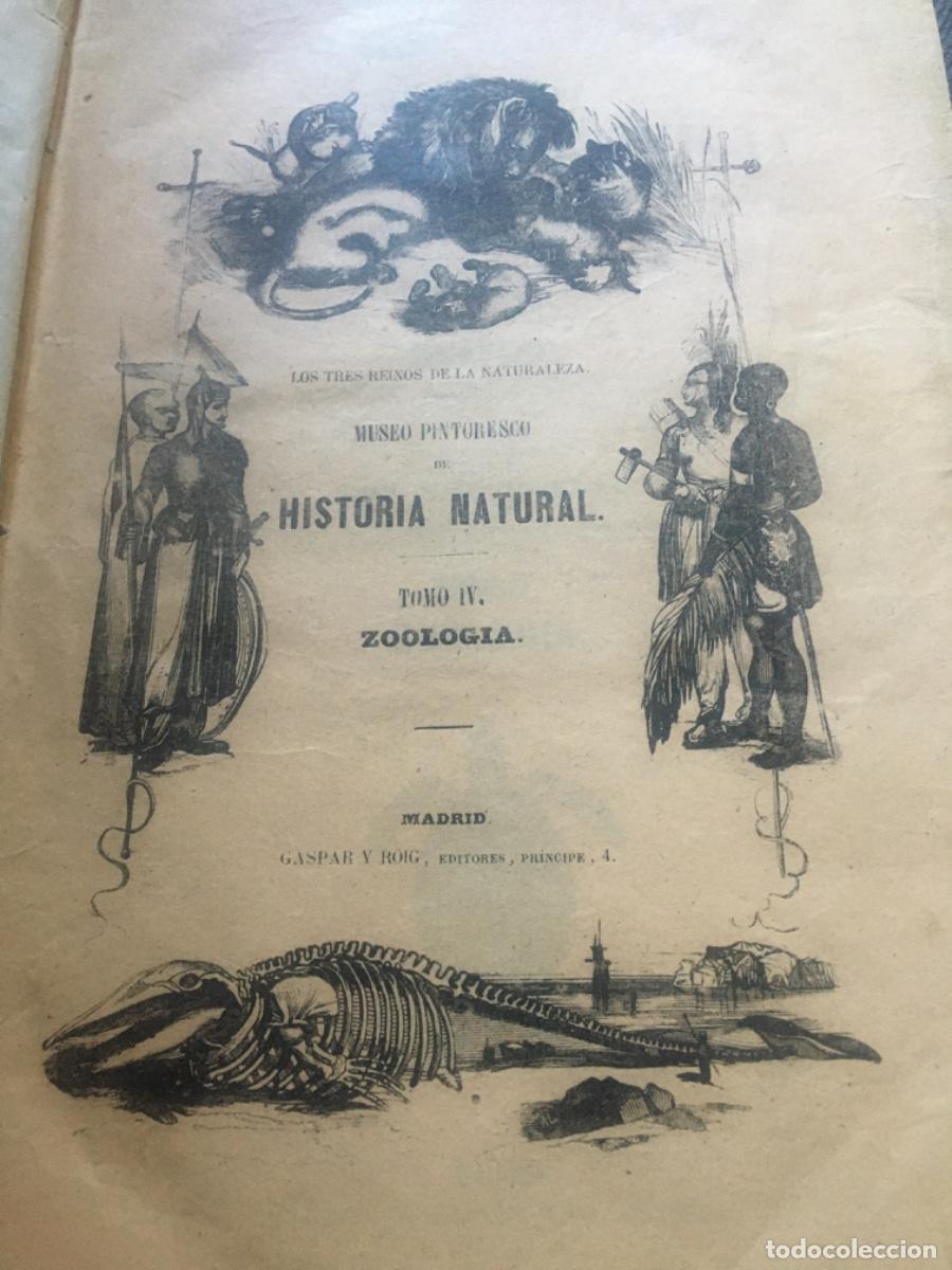 Libros antiguos: Historia natural buffon 1852. 6 tomos - Foto 22
