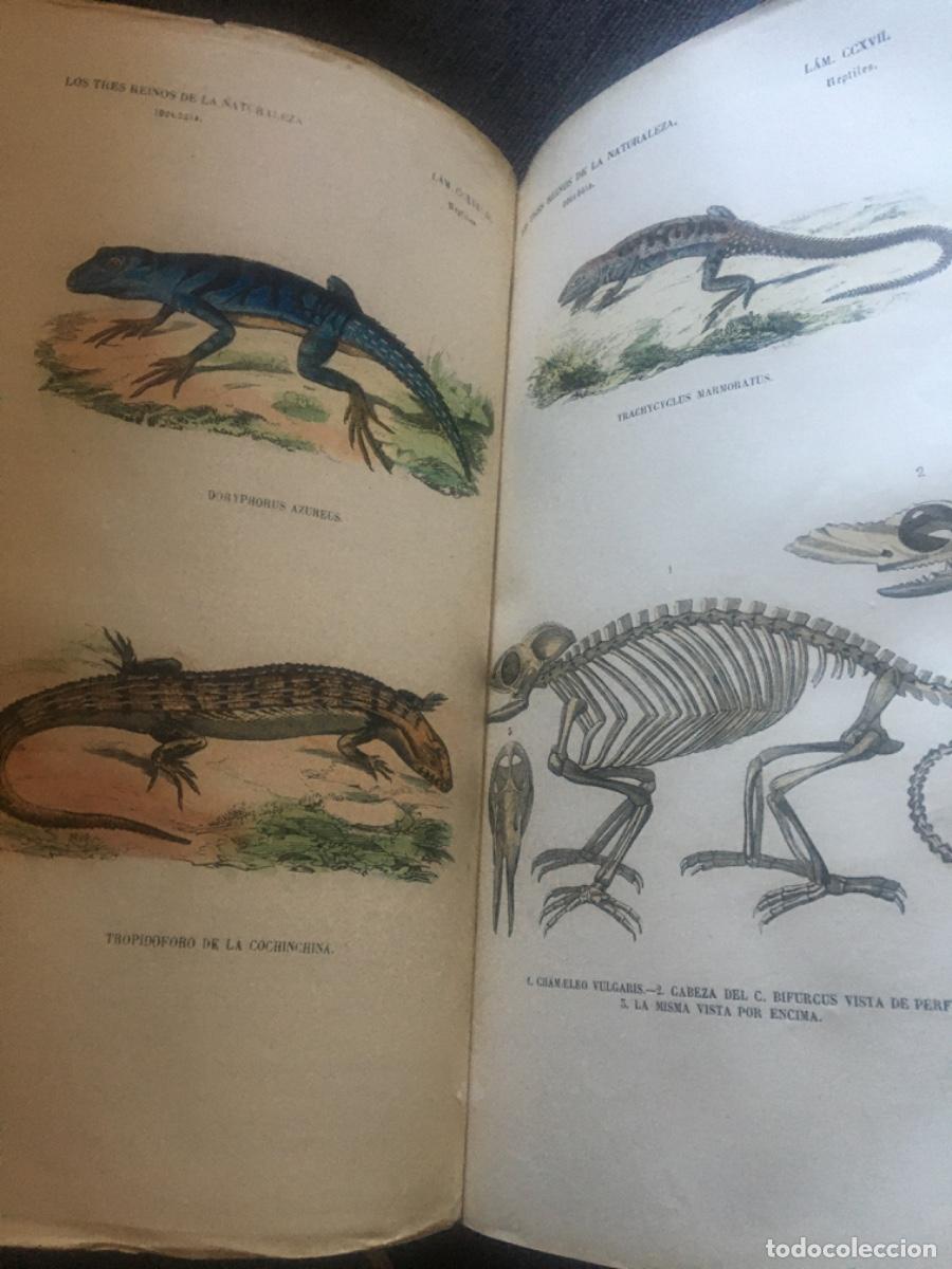 Libros antiguos: Historia natural buffon 1852. 6 tomos - Foto 24
