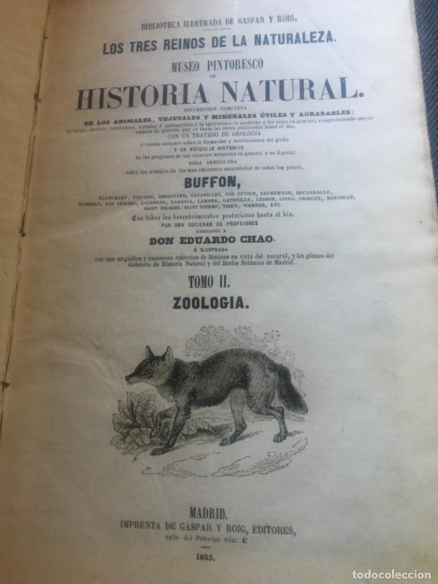 Libros antiguos: Historia natural buffon 1852. 6 tomos - Foto 25