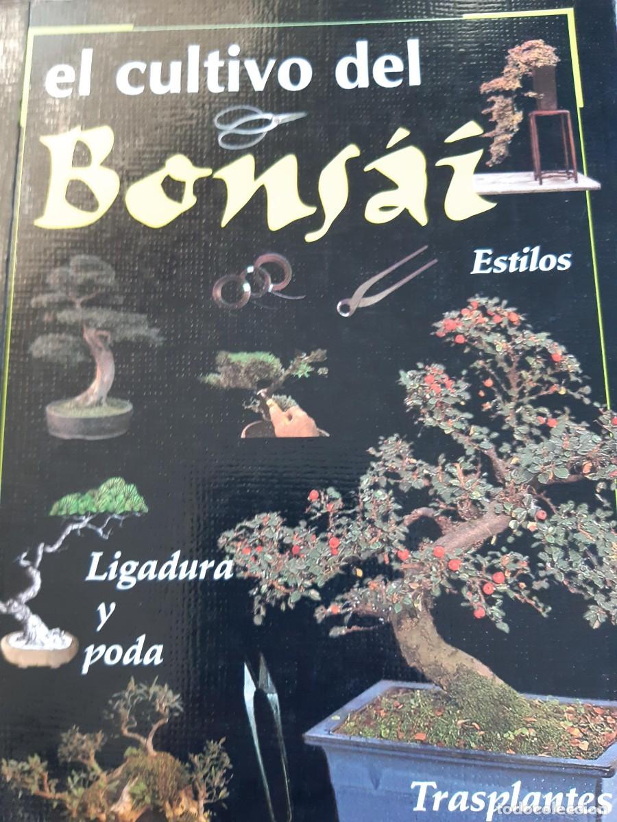 Libros antiguos: El cultivo del bonsai - Foto 1