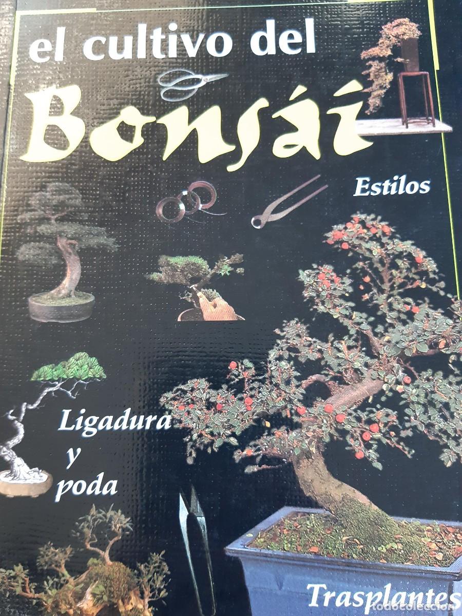 Libros antiguos: El cultivo del bonsai - Foto 2