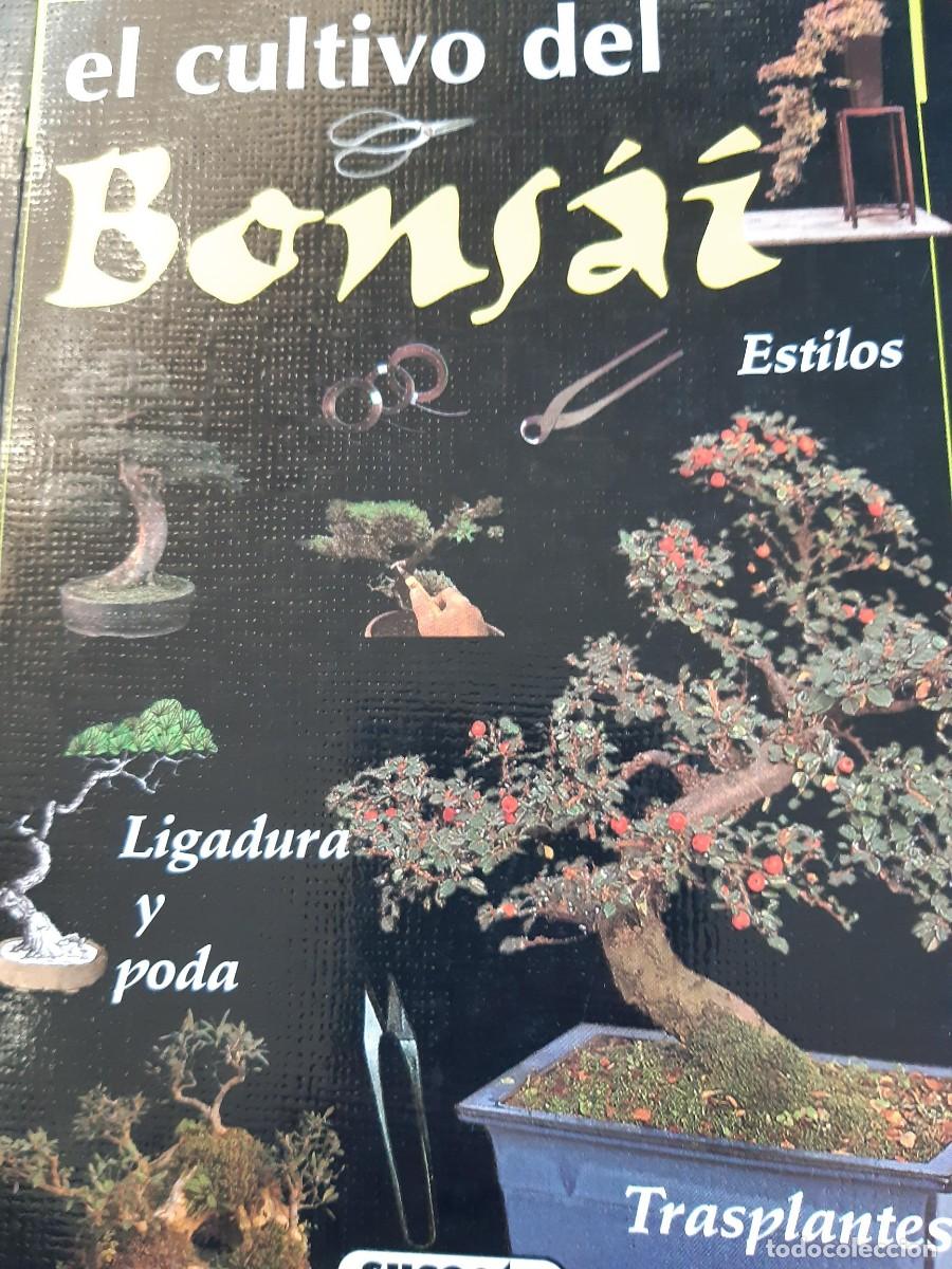 Libros antiguos: El cultivo del bonsai - Foto 4