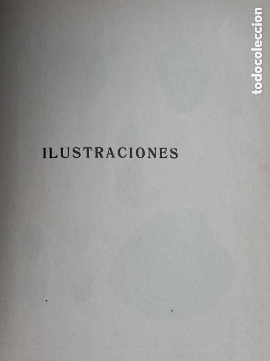 Libros antiguos: Colecci&oacute;n Labor Los animales marinos - Foto 5