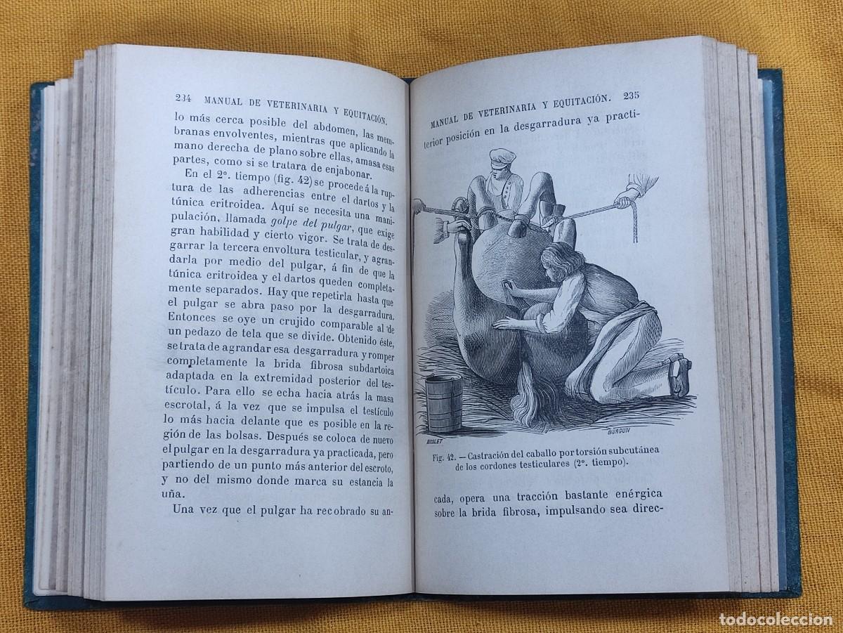 Libros antiguos: Manual de veterinaria 1891 - Foto 6