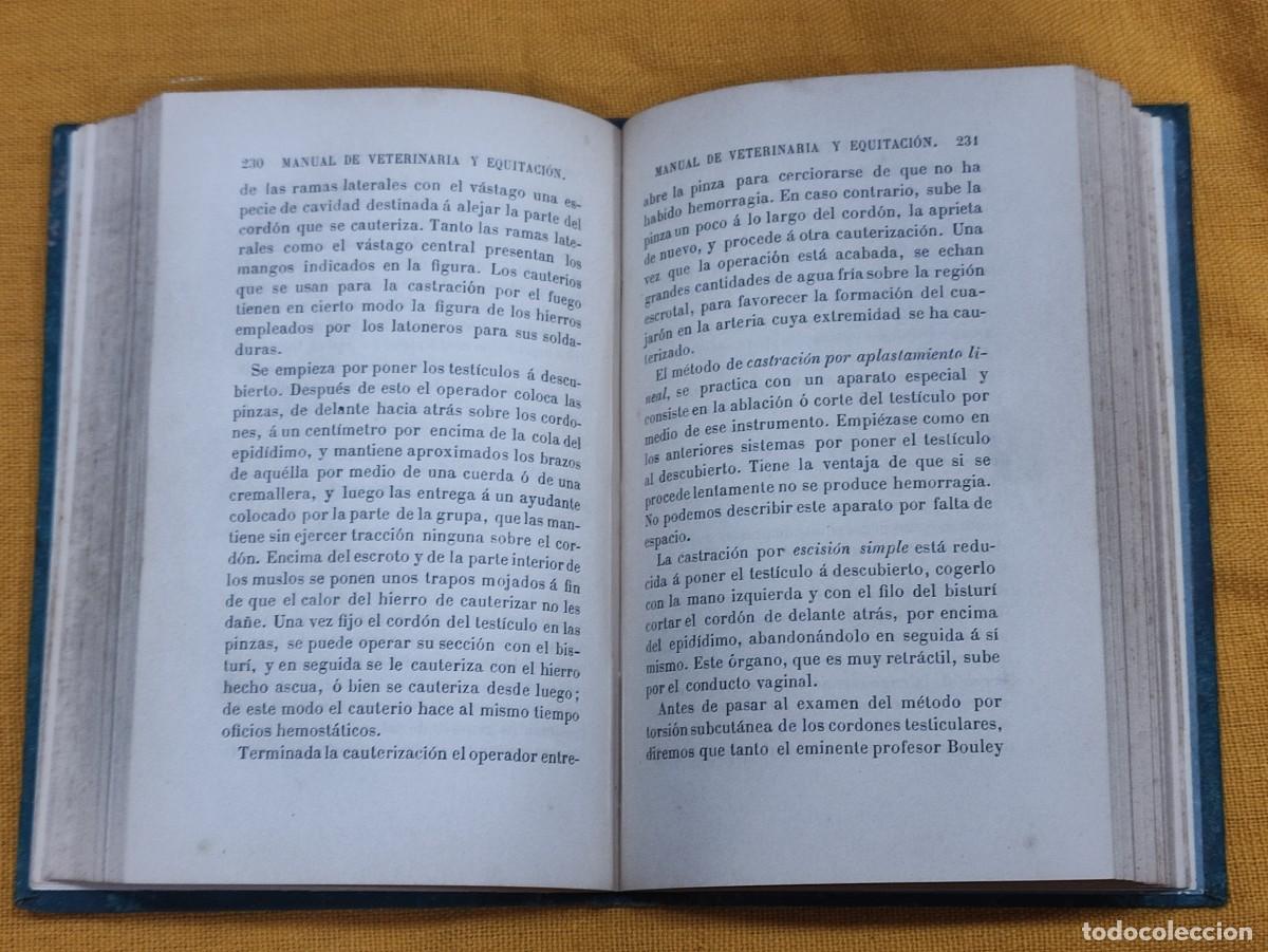Libros antiguos: Manual de veterinaria 1891 - Foto 7