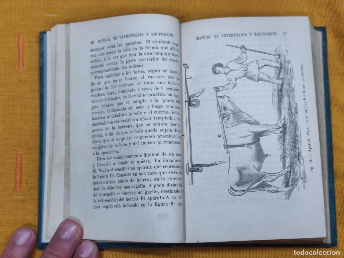 Libros antiguos: Manual de veterinaria 1891 - Foto 9