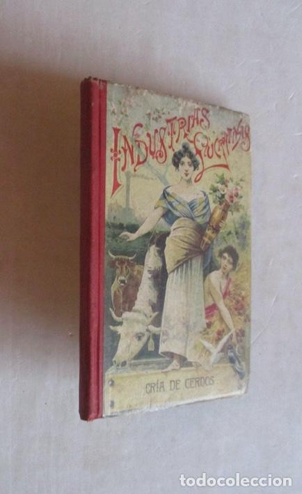 Libros antiguos: CRIA CERDOS - M. RODRIGUEZ NAVAS - Foto 1