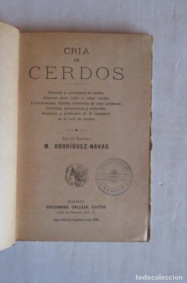 Libros antiguos: CRIA CERDOS - M. RODRIGUEZ NAVAS - Foto 2