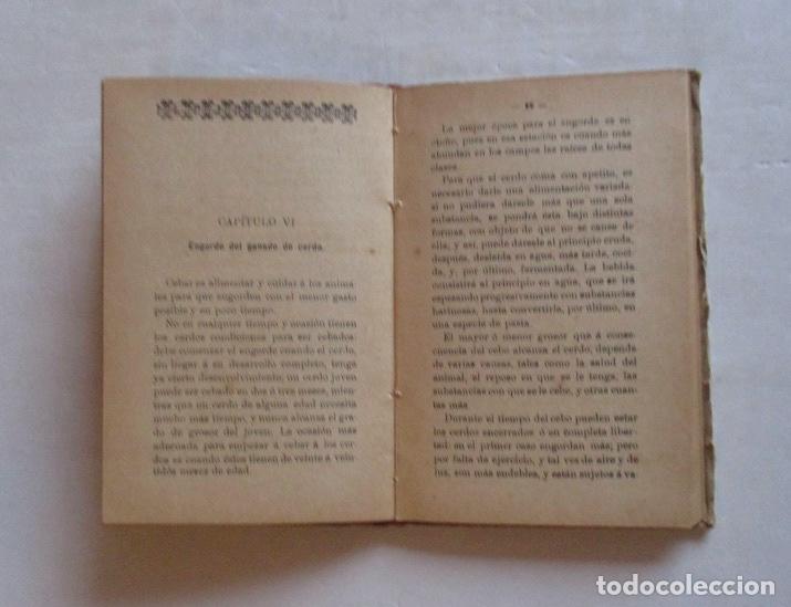 Libros antiguos: CRIA CERDOS - M. RODRIGUEZ NAVAS - Foto 3