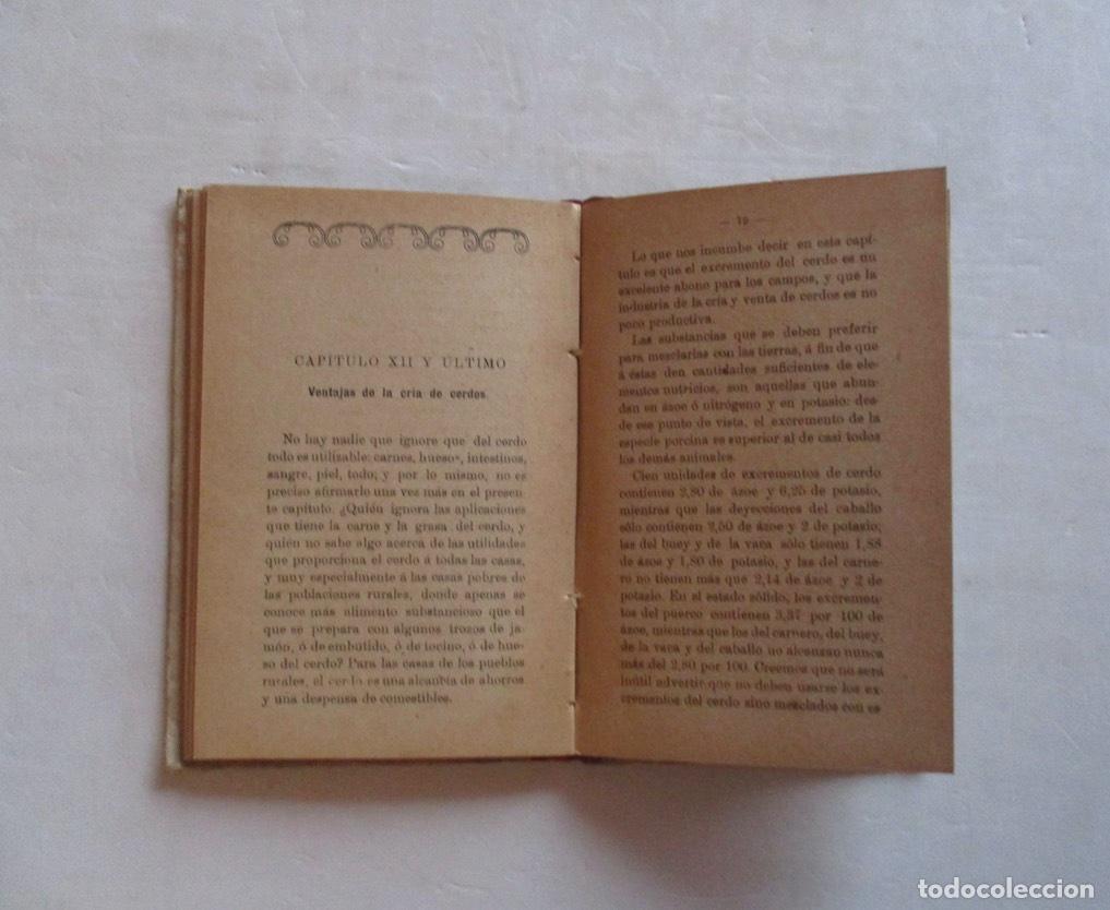 Libros antiguos: CRIA CERDOS - M. RODRIGUEZ NAVAS - Foto 4