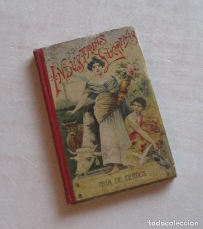 Libros antiguos: CRIA CERDOS - M. RODRIGUEZ NAVAS - Foto 5