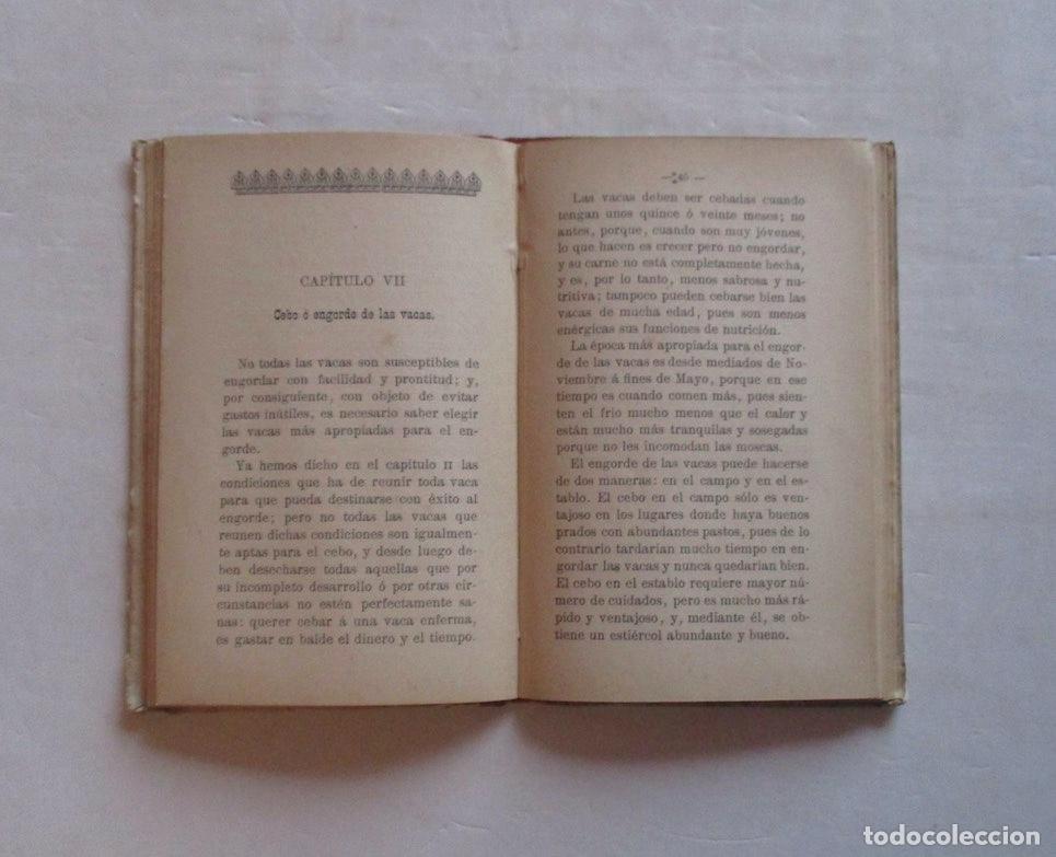 Libros antiguos: VACAS LECHERAS - M. RODRIGUEZ NAVAS - Foto 3