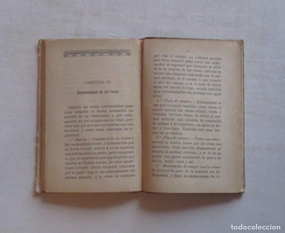 Libros antiguos: VACAS LECHERAS - M. RODRIGUEZ NAVAS - Foto 4