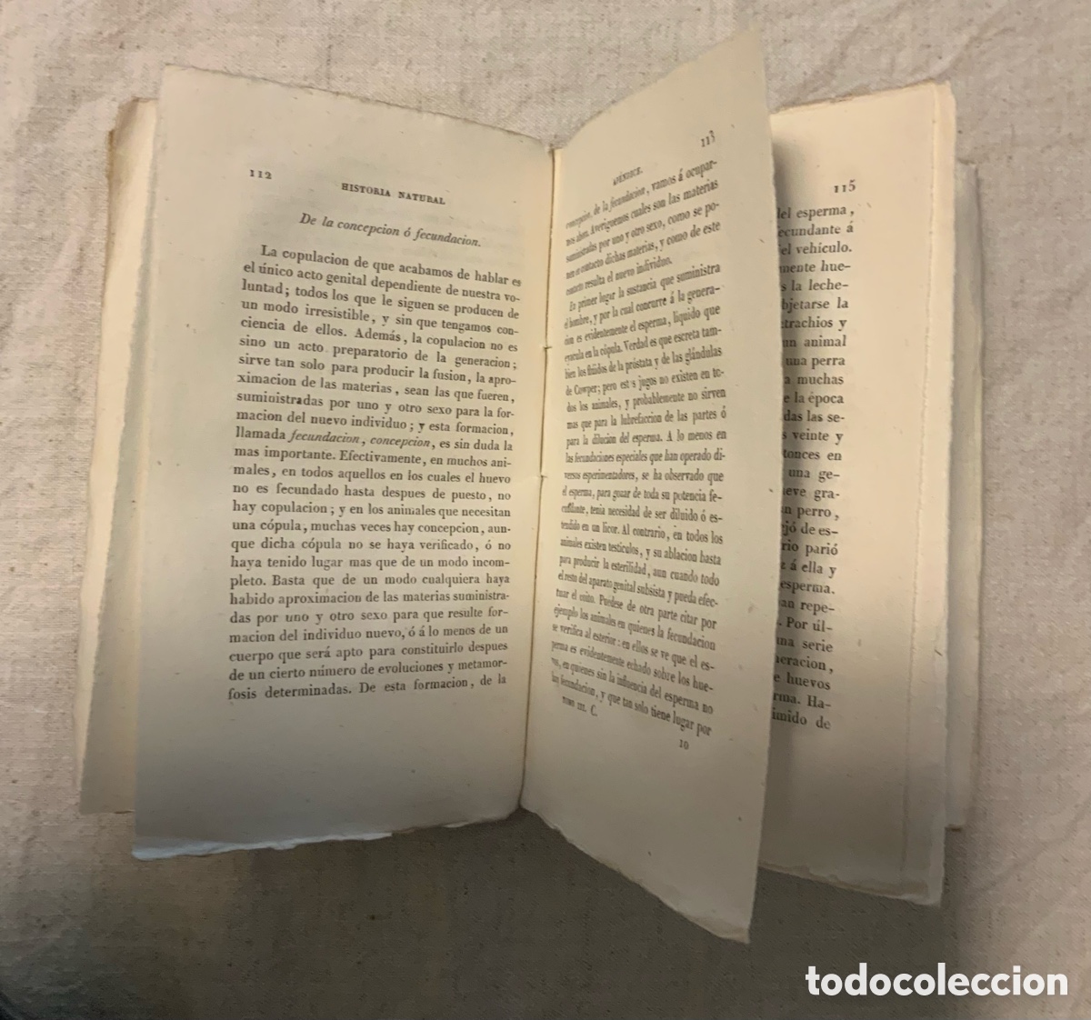 Libros antiguos: Obras completas de Buffon. Ap&eacute;ndice - Foto 6