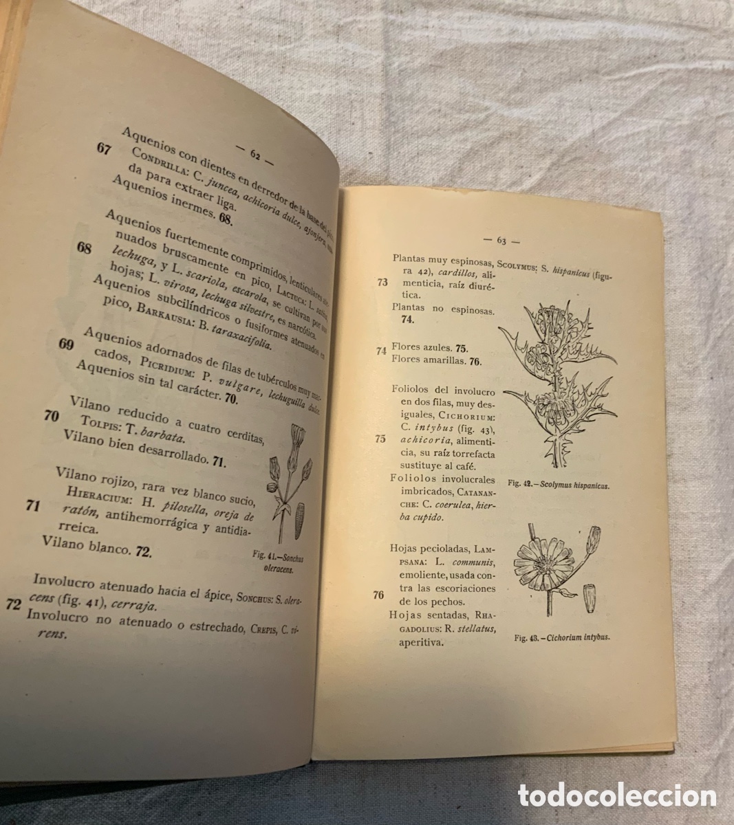 Libros antiguos: Flora de Espa&ntilde;a. Celso Ar&eacute;valo - Foto 4