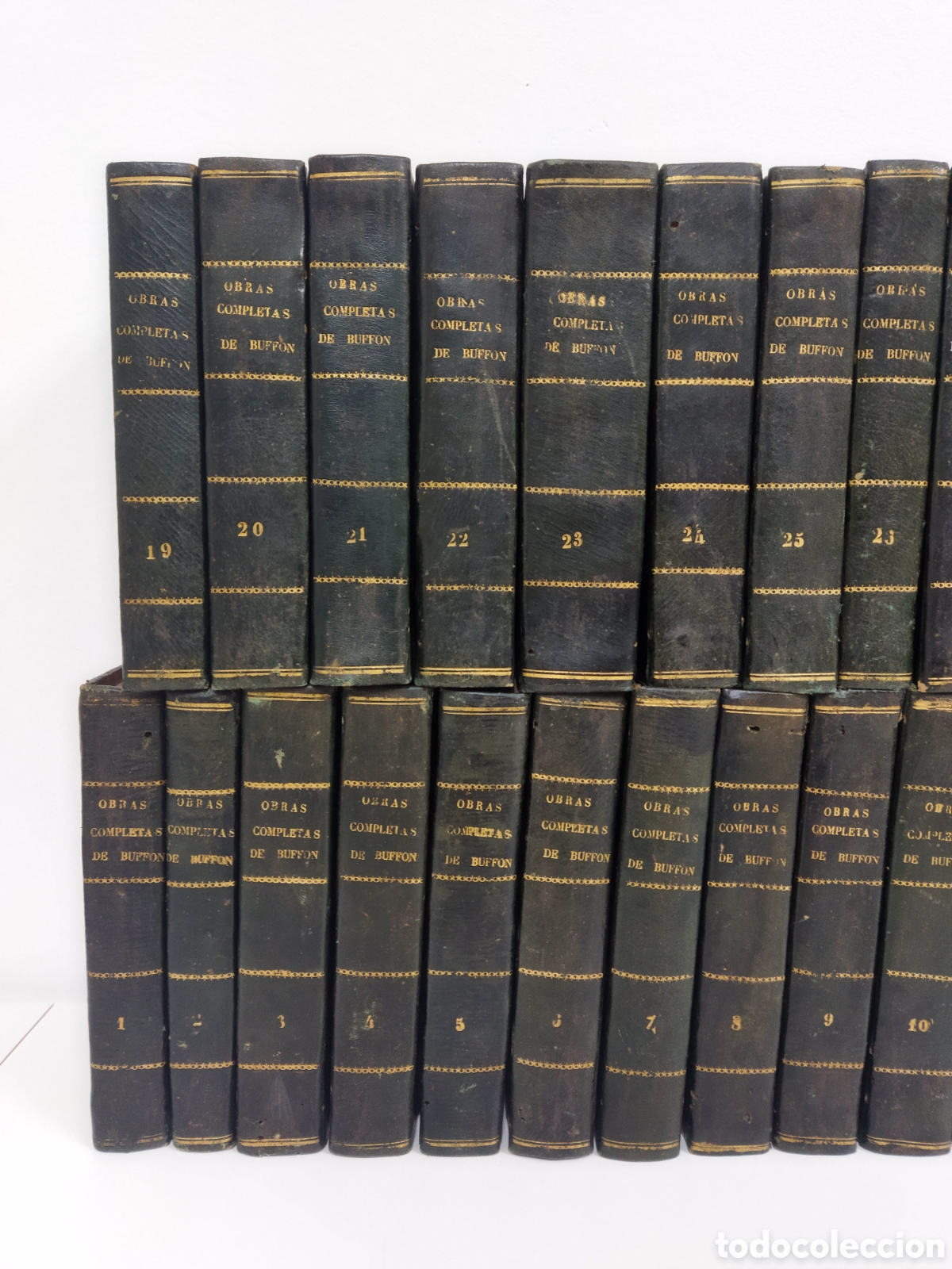 Libros antiguos: Obras completas Buffon 1847 35 vol&uacute;menes - Foto 2