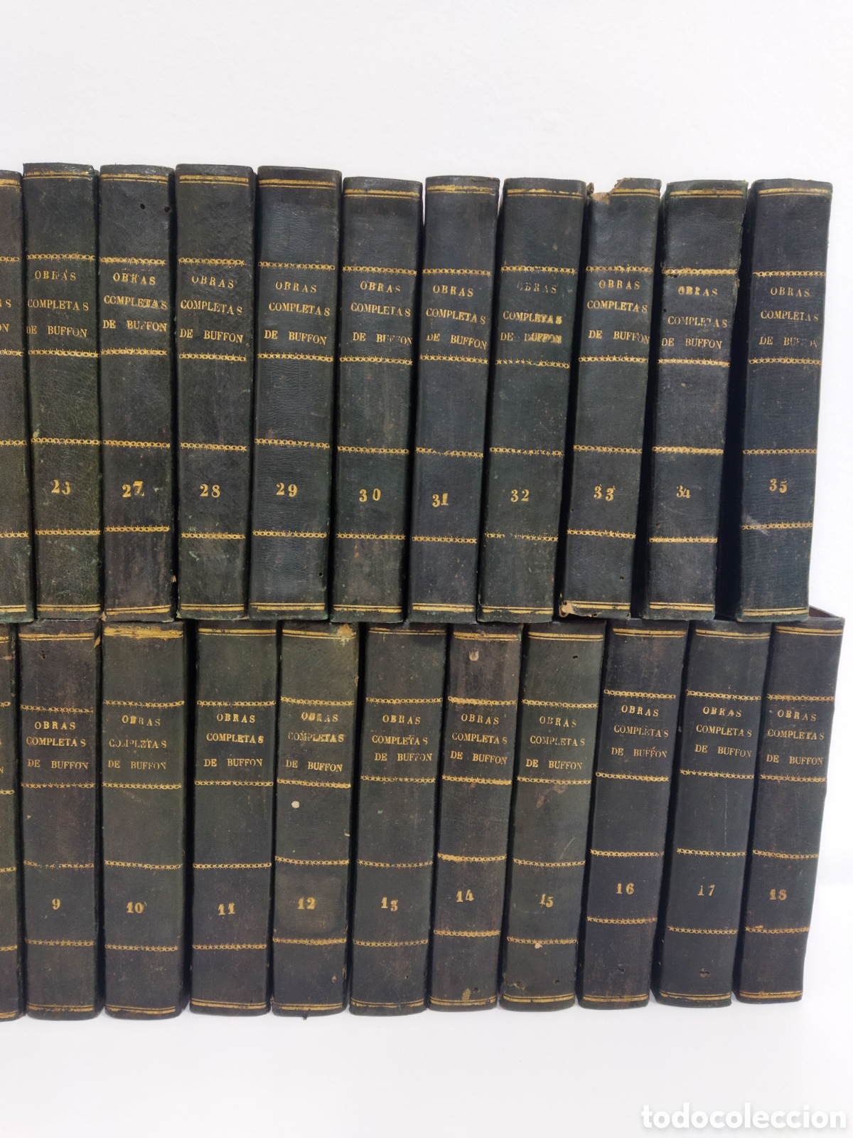 Libros antiguos: Obras completas Buffon 1847 35 vol&uacute;menes - Foto 3
