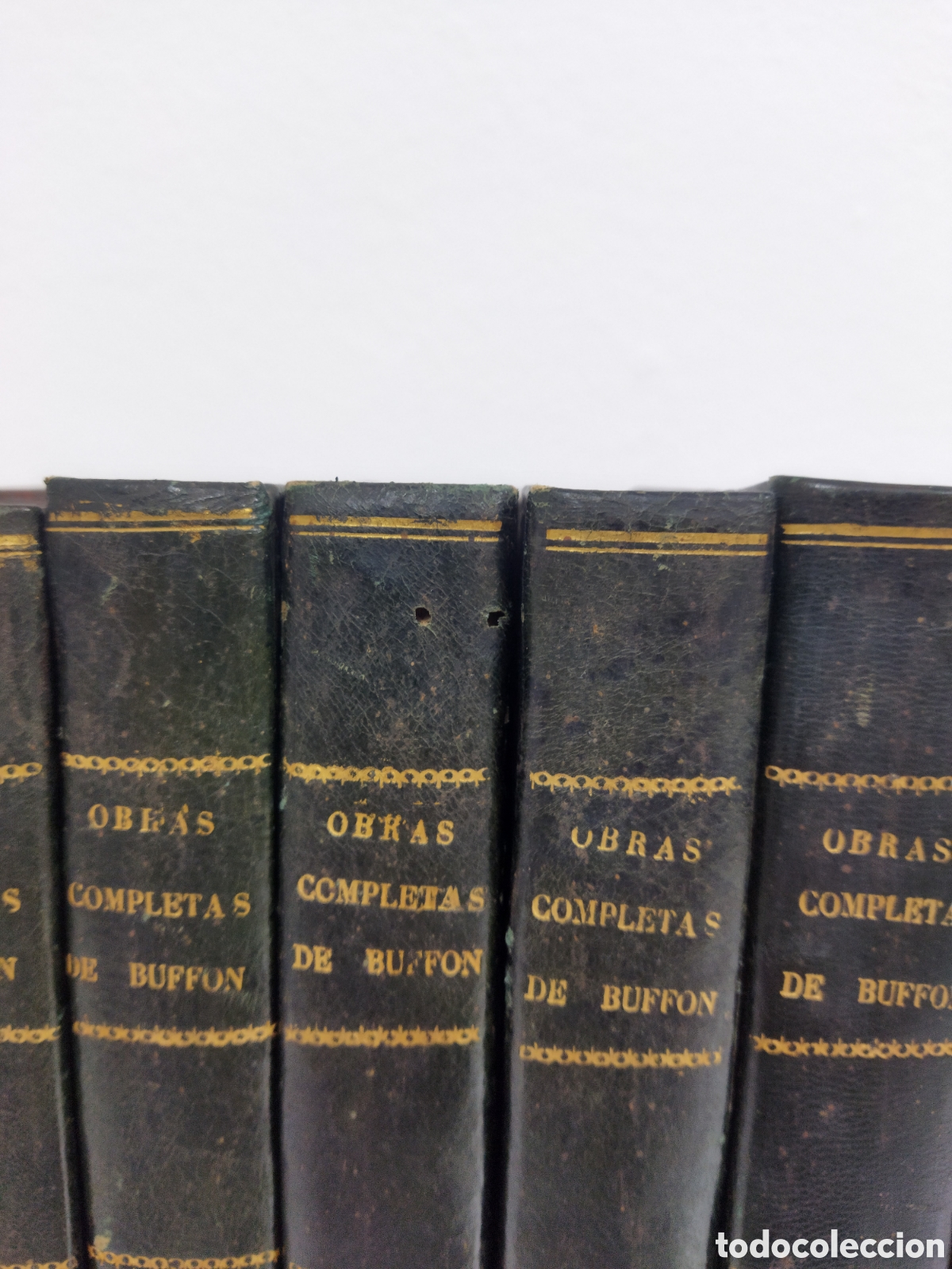 Libros antiguos: Obras completas Buffon 1847 35 vol&uacute;menes - Foto 4