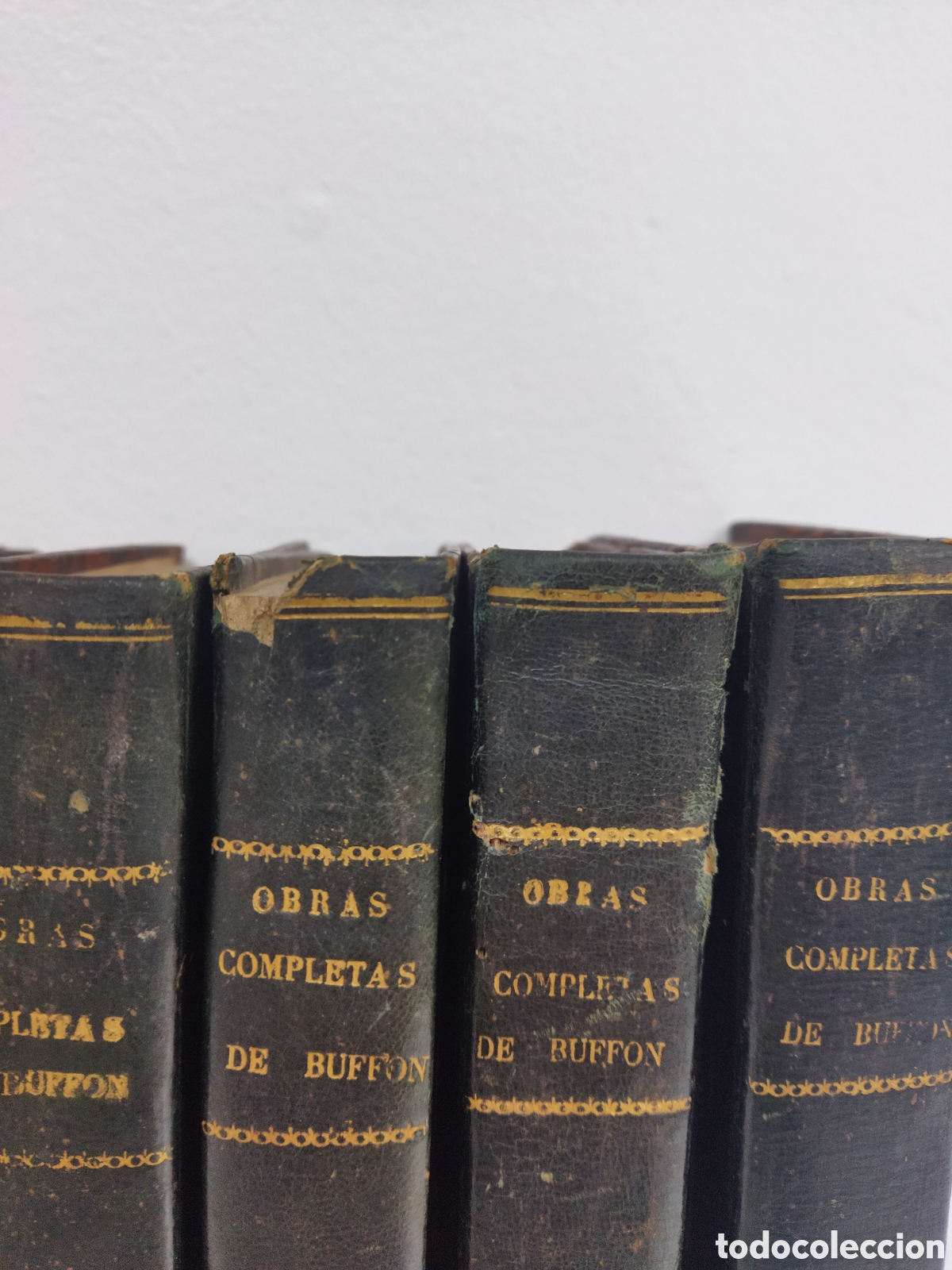 Libros antiguos: Obras completas Buffon 1847 35 vol&uacute;menes - Foto 5