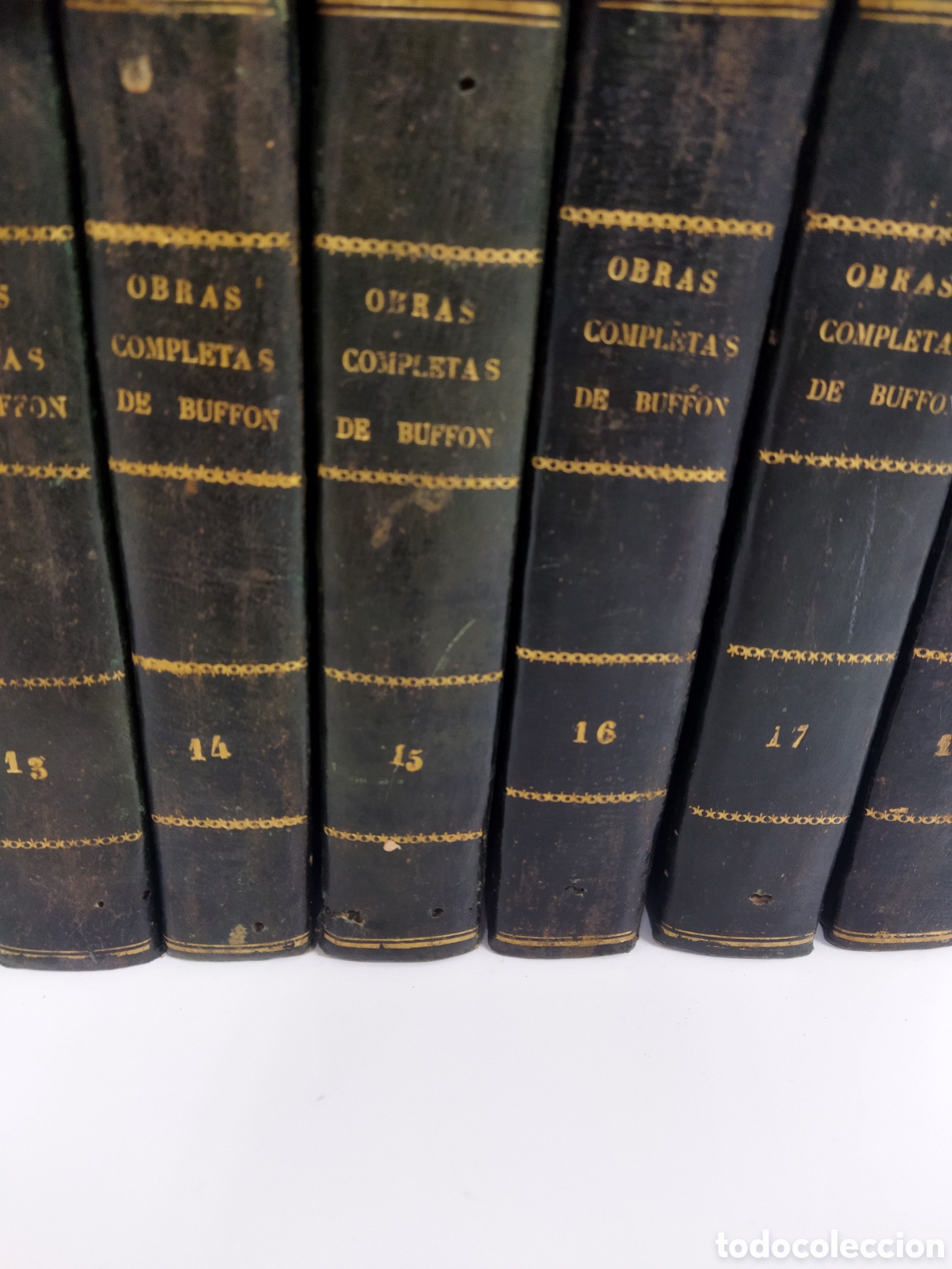 Libros antiguos: Obras completas Buffon 1847 35 vol&uacute;menes - Foto 6