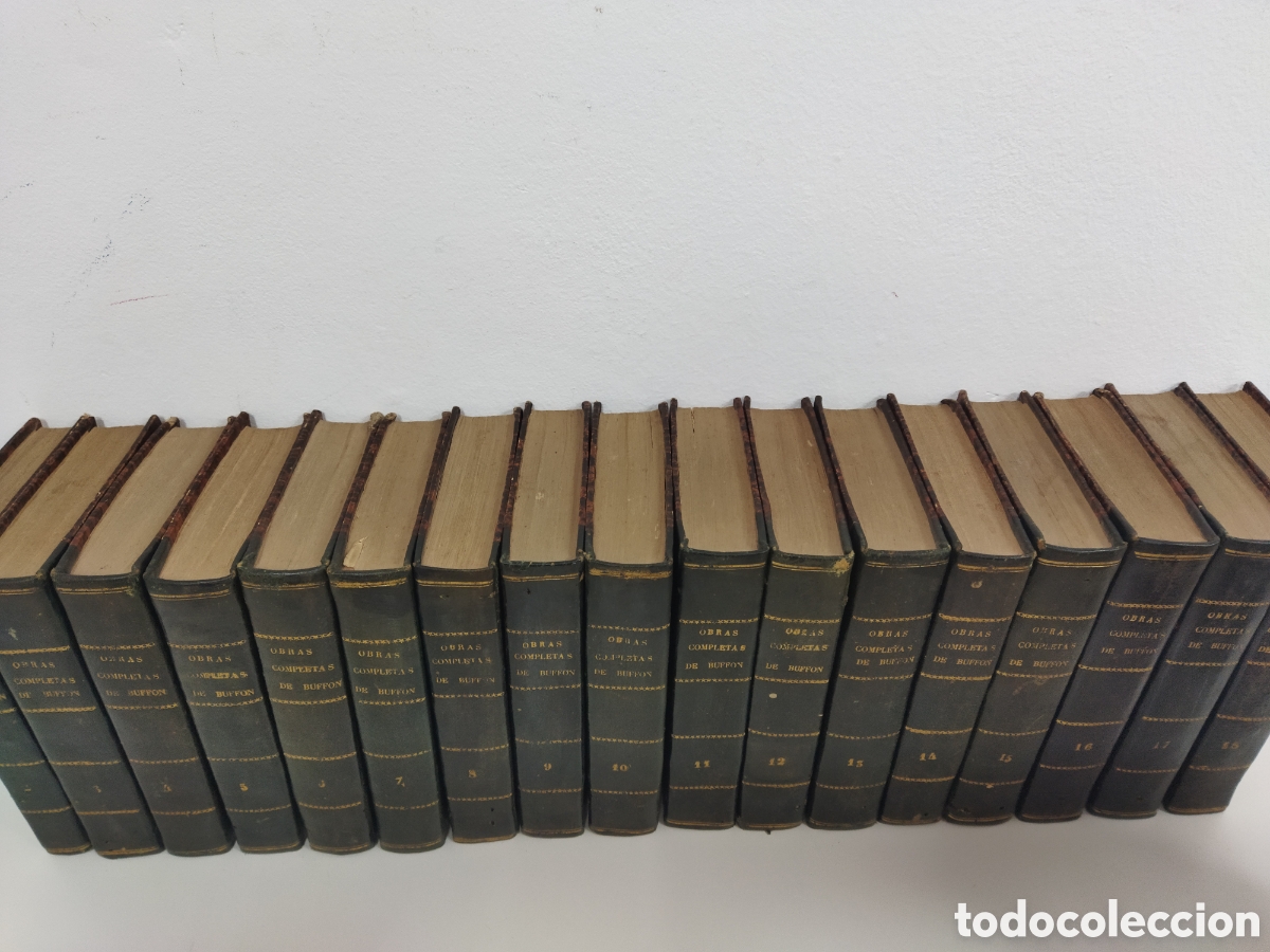 Libros antiguos: Obras completas Buffon 1847 35 vol&uacute;menes - Foto 8