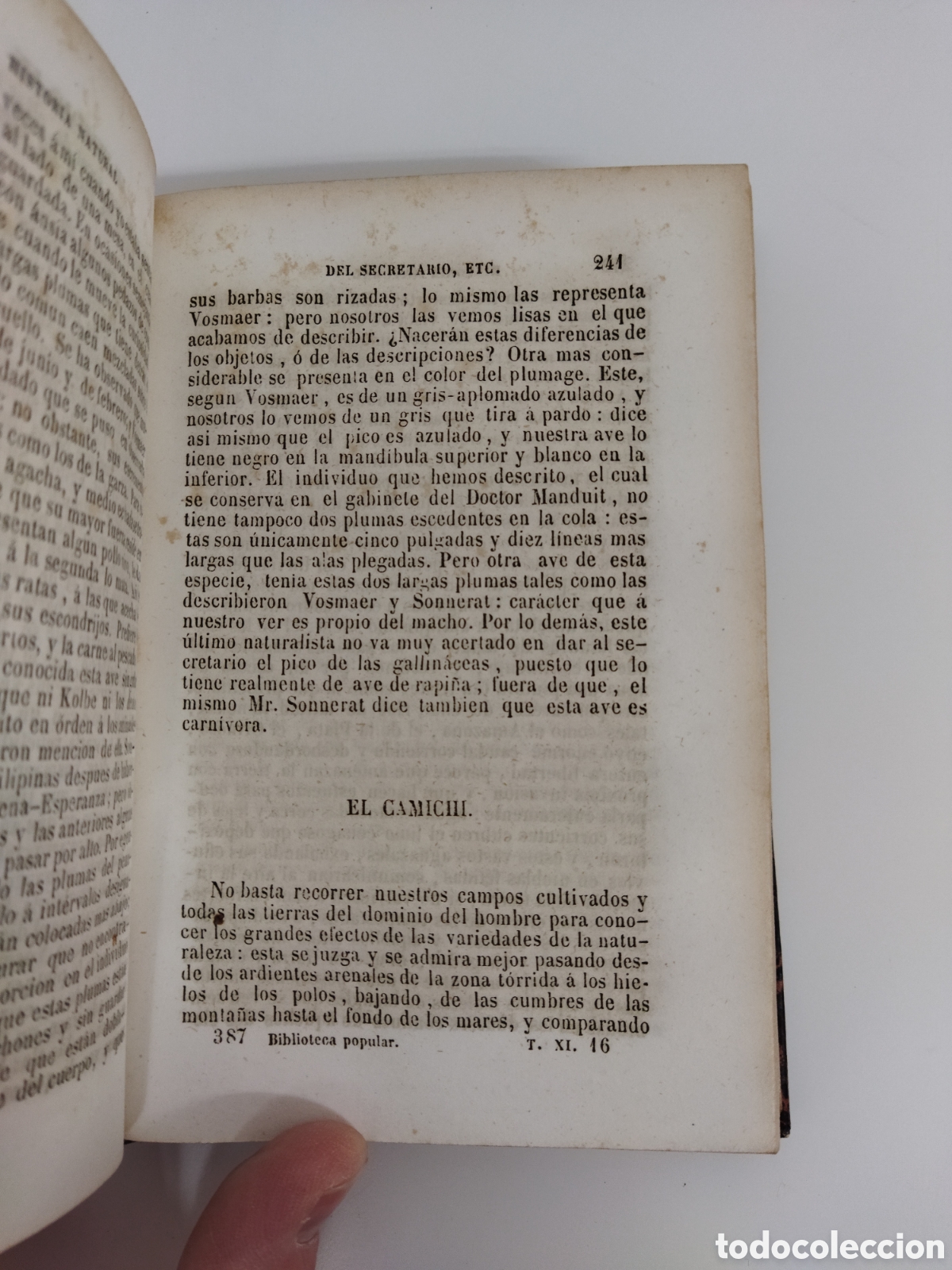 Libros antiguos: Obras completas Buffon 1847 35 vol&uacute;menes - Foto 13