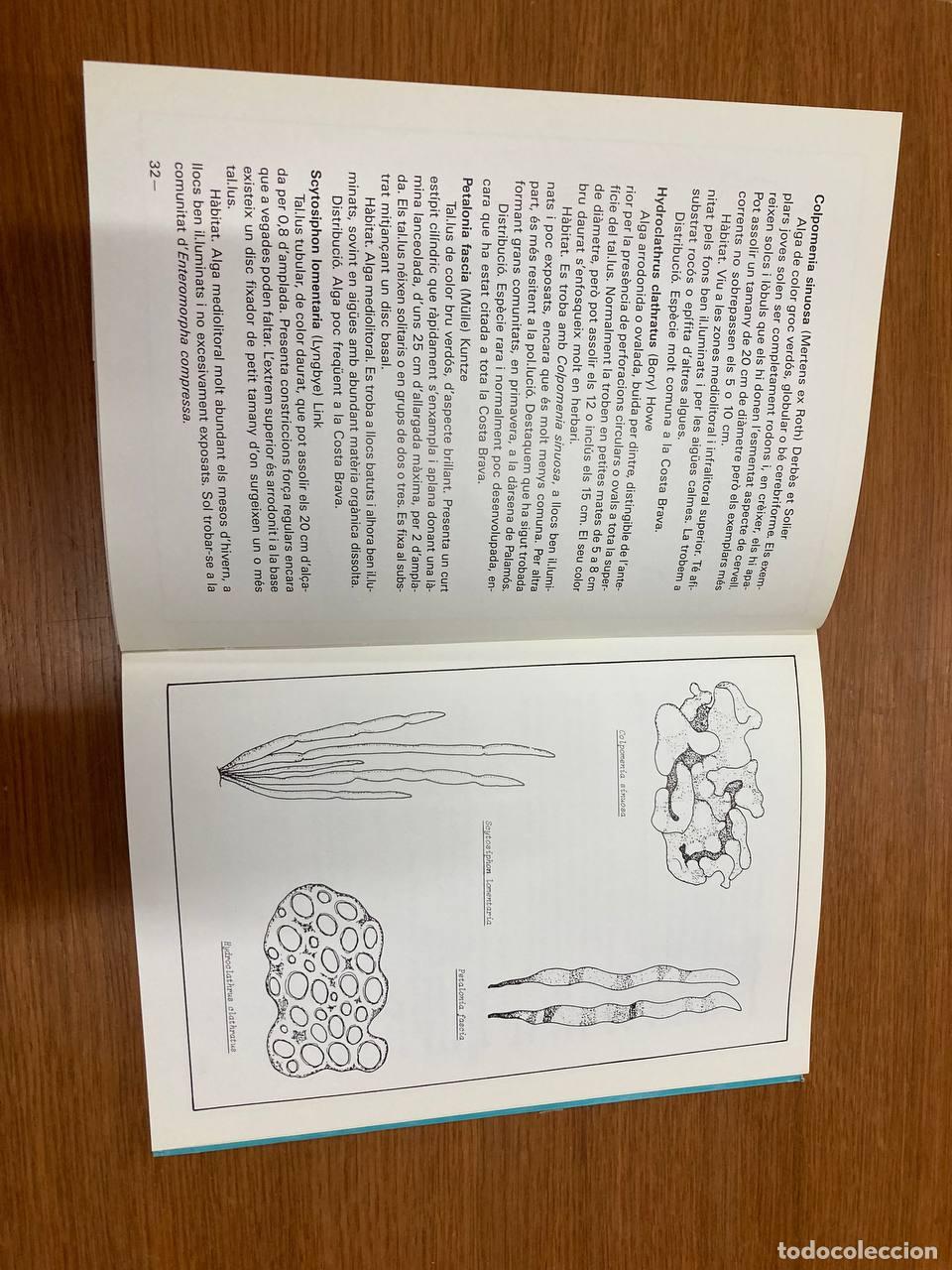 Libros antiguos: Algues de la Costa Brava - Foto 2