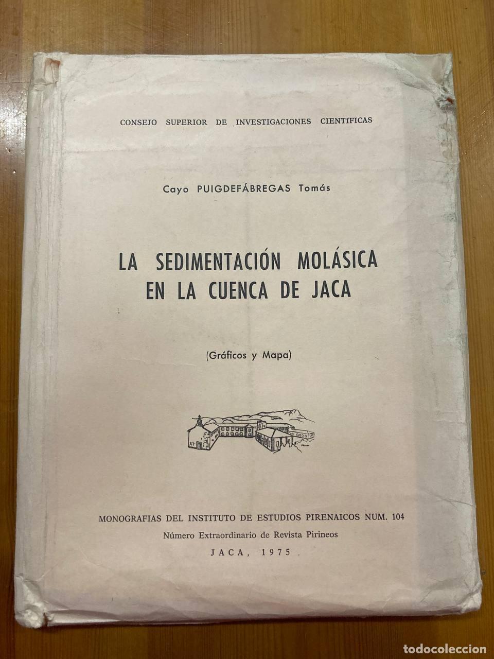 Libros antiguos: La Sedimentaci&oacute;n Mol&aacute;sica en la Cuenca de Jaca. - Foto 1
