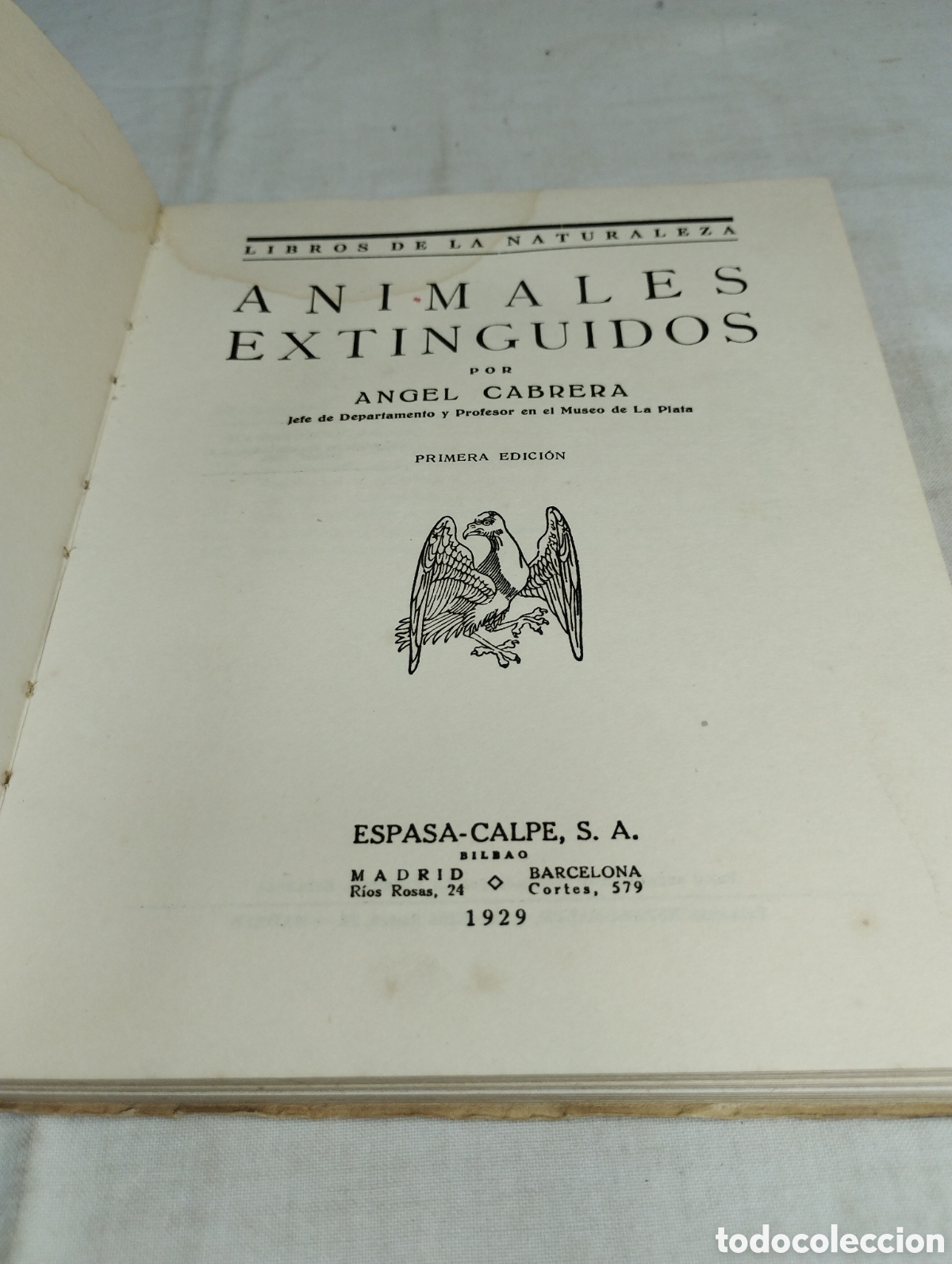 Libros antiguos: Los animales extinguidos. Espasa Calpe, 1929 - Foto 2