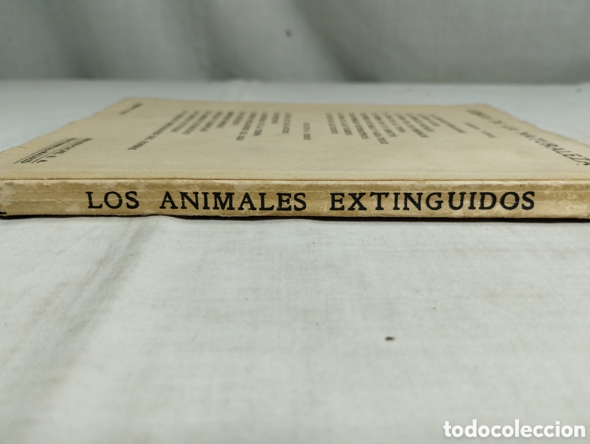 Libros antiguos: Los animales extinguidos. Espasa Calpe, 1929 - Foto 3