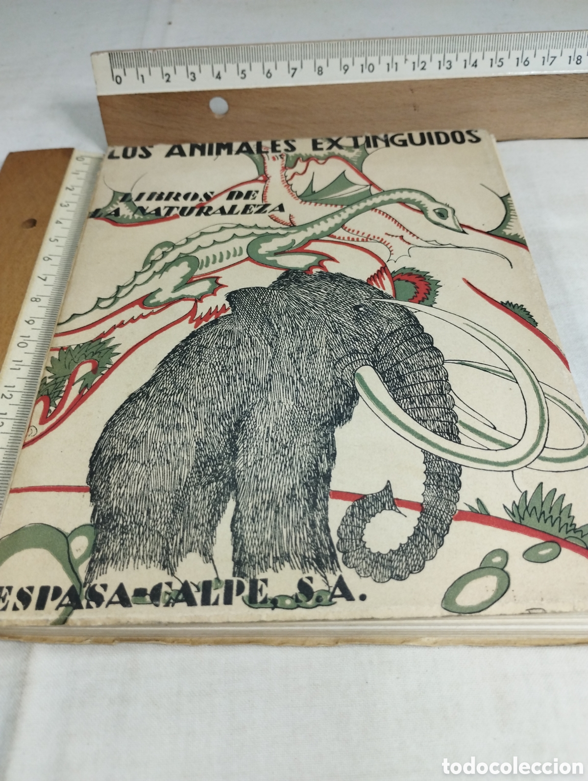 Libros antiguos: Los animales extinguidos. Espasa Calpe, 1929 - Foto 1