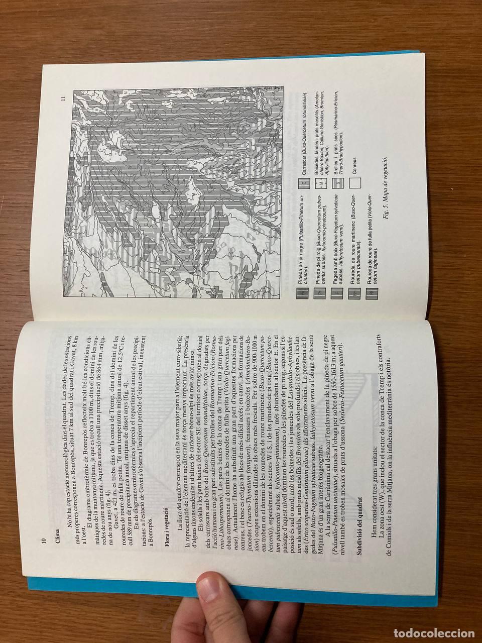 Libros antiguos: Plantes Vasculars Abella de la Conca - Foto 2
