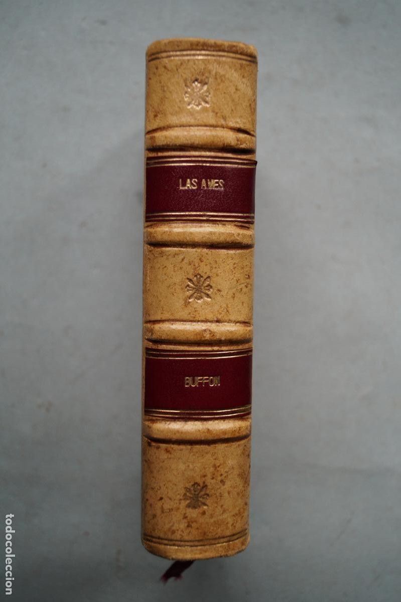 Libros antiguos: OBRAS DE BUFFON. AVES. 1834. BUENA ENCUADERNACION. - Foto 1